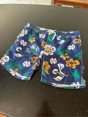 Wes and Willy University of Notre Dame Swimsuit